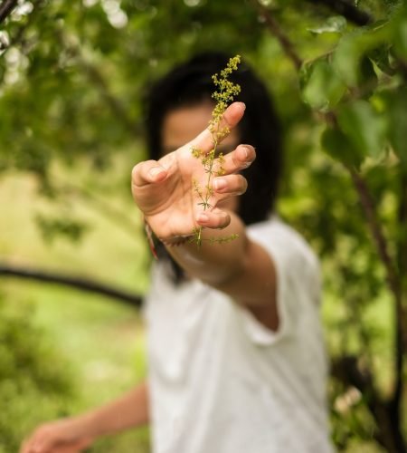 About A person's hand holds a small plant outside, surrounded by lush greenery.